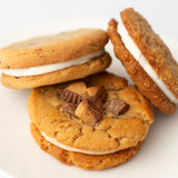 DAD Cookies + Sammie Sampler Gift Box (6 ct)