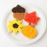 Fall Cookie Decorating Kit – 12 Sugar Cookies with Buttercream & Sprinkles