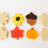 Fall Cookie Decorating Kit – 12 Sugar Cookies with Buttercream & Sprinkles
