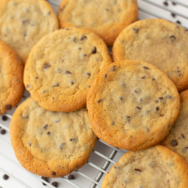 Wholesale Jumbo Chocolate Chip Cookies