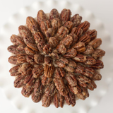 Sweet Potato Cake - LOCAL PICKUP ONLY