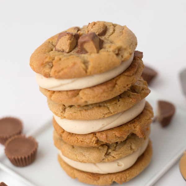 Peanut Butter Sammie Box (6ct)
